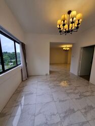 The Cairnhill (D9), Condominium #560197151